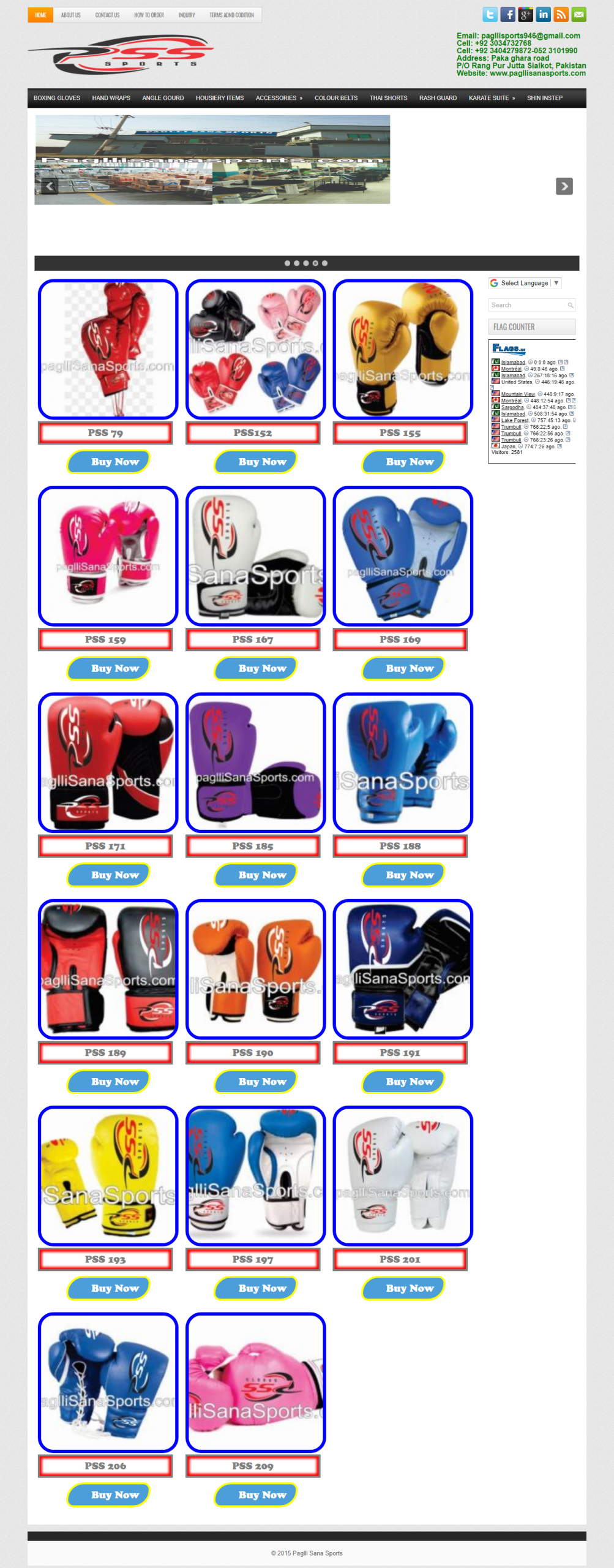 Pagllisanasports.com