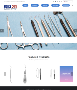 Princesurgical.com
