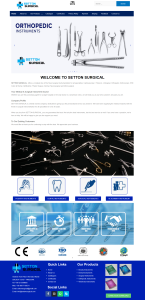 Settonsurgical.com