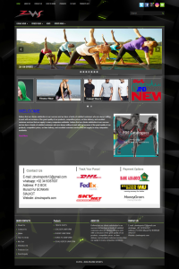 Zinwinsports.com